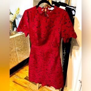 New DVF lace anemone cut out dress - size 2